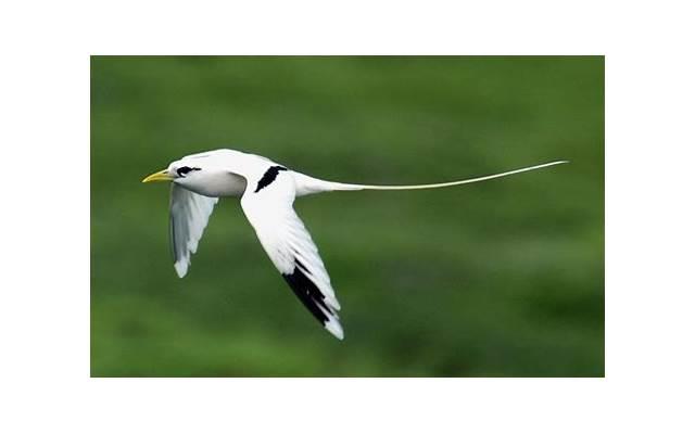 和你深情共白头 感人的爱情表白的信