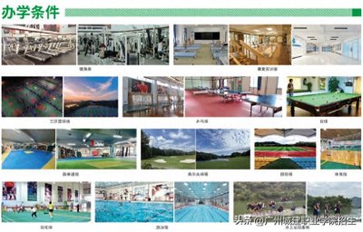 ​专业介绍|体育运营与管理