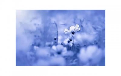 ​男女的第一次性爱有什么区别 男女性爱有着哪些不同体验