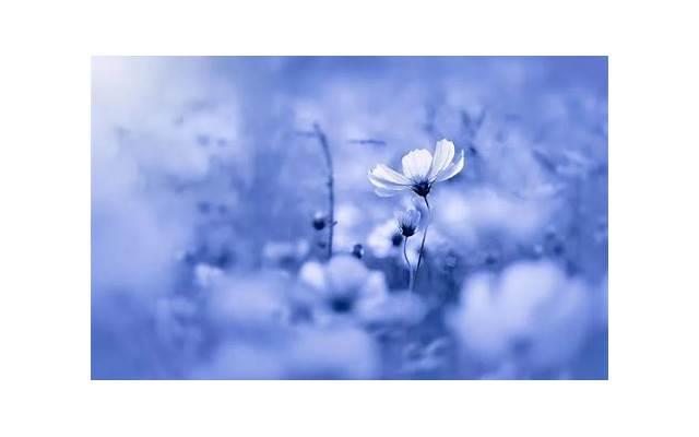 男女的第一次性爱有什么区别 男女性爱有着哪些不同体验