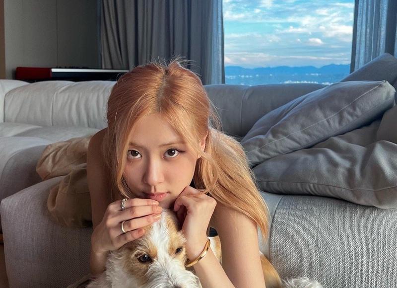 母亲的伟大之处，让我无法用语言形容