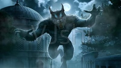 ​4本主角修妖的网络小说，吾等妖兽，生来自由，谁敢高高在上