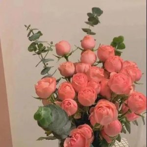 ​这些破镜重圆耽美小说，你看过吗