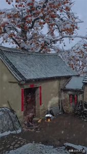 ​老局长退休后……（小小说）