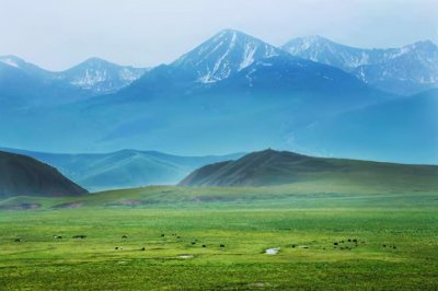 ​每日推书！五本牧场流小说，平平淡淡，我就养牛养马