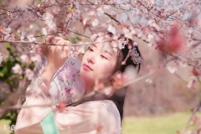 ​小说：皇帝只想疼爱公主，奈何公主太高冷，只爱和皇子们在一起