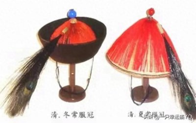 ​“顶戴花翎”中的”花翎”代表什么意思？