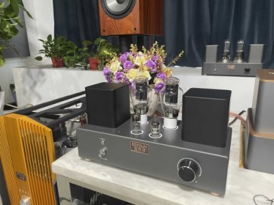 ​音响里面什么叫胆机：300B尽显入门级表现