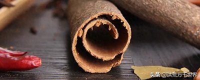 ​桂皮是什么树的皮，剥皮后树还能活吗？