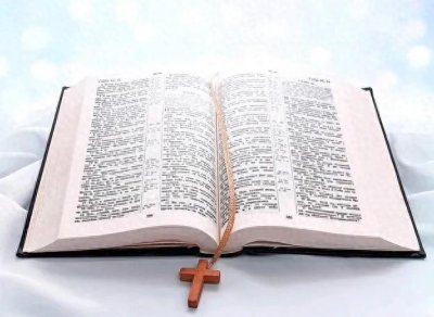 ​圣经是谁写的？