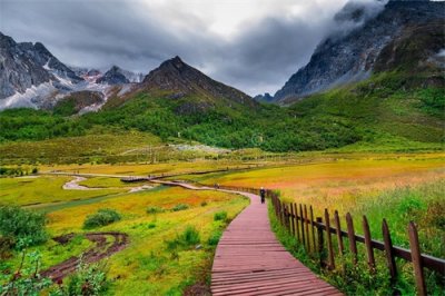 ​歧路亡羊告诉了我们一个什么道理？