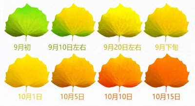 ​额济纳胡杨林什么时候去最佳？