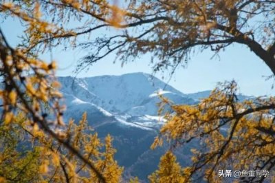 ​今天农历八月十三，你知道是什么日子吗？老祖宗的谚语怎么说