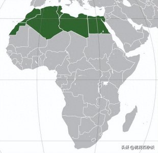 ​北非各国的人口构成：阿拉伯人柏柏尔人的混血与多元基因来源