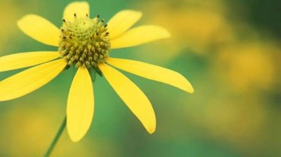 ​背后说人闲话的警告语：化解非议，传递正能量