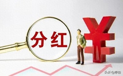 ​A股风云14：琼民源重组——黑马or骗局