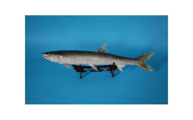 相亲男情场高手 相亲男情场高手