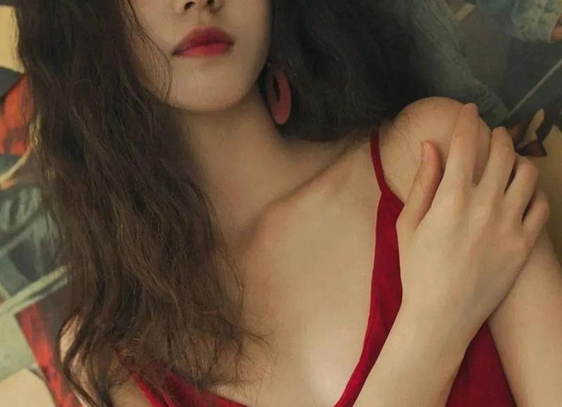 最美凤凰鸟图片（如今凤凰活成啥样子）