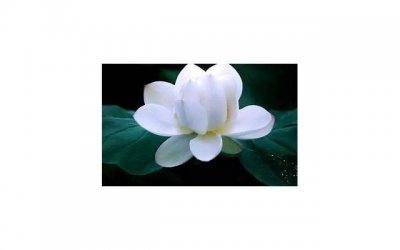 ​带女孩子出去玩的套路 怎么才能让女孩对你有兴趣