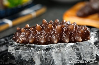 ​海茄子的家常做法（详解海参和海茄子的区别）