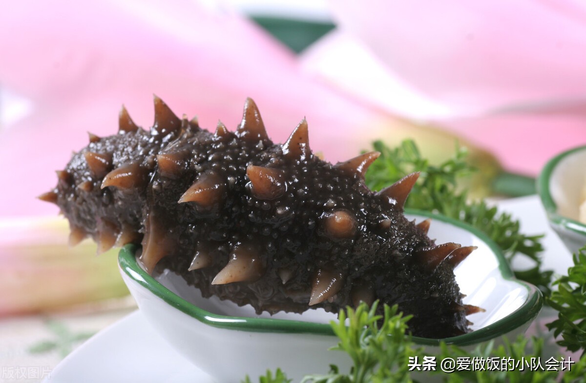 海茄子的家常做法（详解海参和海茄子的区别）