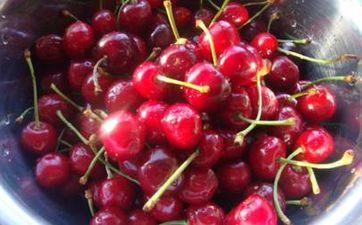 2024年十二生肖运程 2024各属相全年运势详解