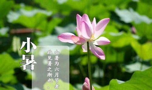 小暑是入伏的头一天,小暑是入伏第一天吗入伏原来是这一天图3