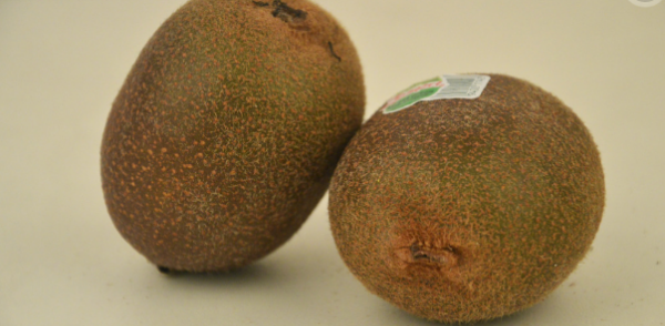 软了的猕猴桃可以放冰箱,软的猕猴桃可以放冰箱保存吗图2