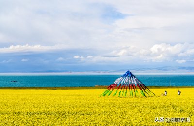 主谓宾是什么意思(知识科普主谓宾结构的含义)