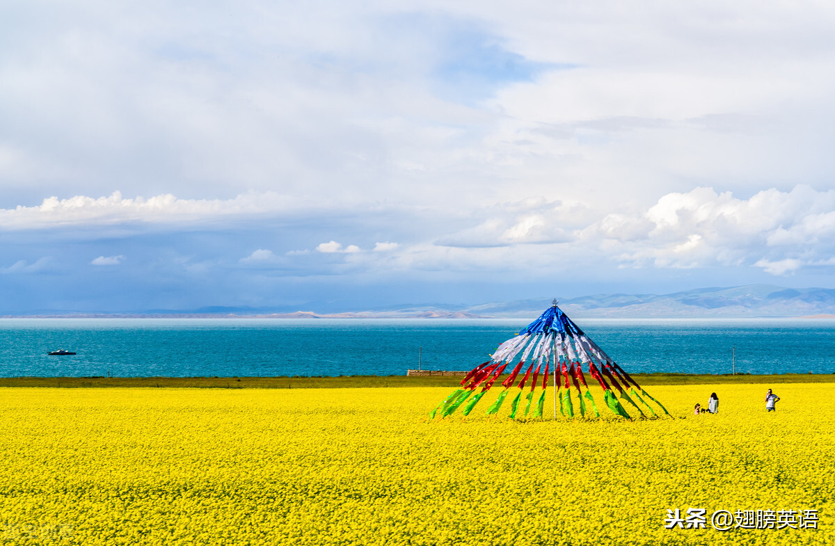 主谓宾是什么意思(知识科普主谓宾结构的含义)