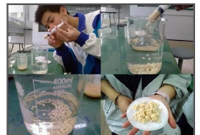 ​固定化酶的优点,凝胶包埋法固定化酶的优缺点