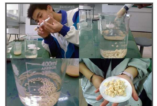 固定化酶的优点,凝胶包埋法固定化酶的优缺点图1