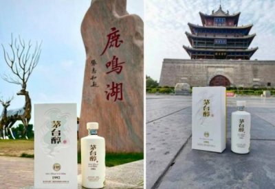 ​茅台醇电商直销模式(电商直销模式的流程是什么)