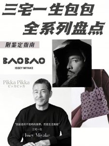 三宅一生7款必买包包,每个女生都抵挡不住它们的“真香”