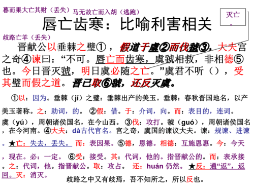 唇亡齿寒什么意思(唇亡齿寒意思简述)