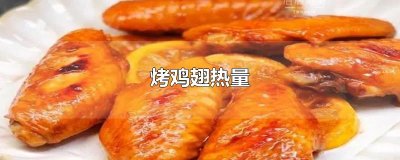 ​烤鸡翅热量