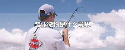 ​路亚微物是什么意思