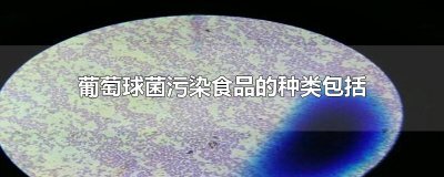 ​葡萄球菌污染食品的种类包括