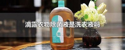 ​滴露除菌液是不是洗衣液 滴露衣物除菌液有什么用