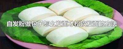 ​自发面怎么做包子 自发面怎么做包子又松又软
