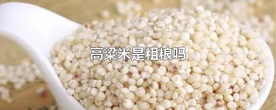 ​高粱米是粗粮吗