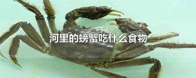 ​河里面的螃蟹吃什么 螃蟹在河里吃什么