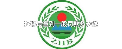 ​环保局查到一般罚款多少钱
