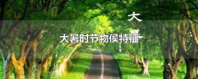 ​大暑时节物侯特征