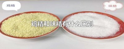 ​鸡精和味精有什么区别