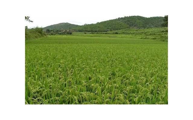 爱爱时下面流多少水才正常？