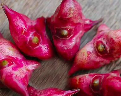 菱角能生吃,菱角可以生吃吗削皮吃么图1