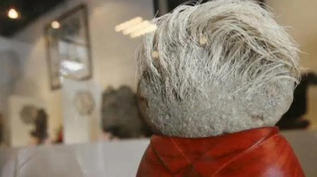 老农捡一长满白发的石头,专家闻讯赶来后,立马让人封锁整个村子