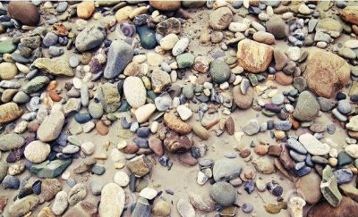 老农捡一长满白发的石头,专家闻讯赶来后,立马让人封锁整个村子