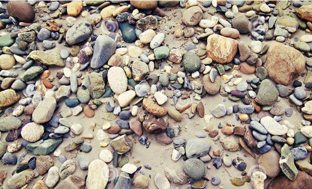 老农捡一长满白发的石头,专家闻讯赶来后,立马让人封锁整个村子